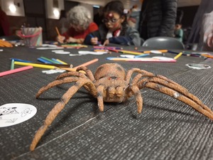 Peur sur le Parc, c'est ce vendredi à Mazingarbe